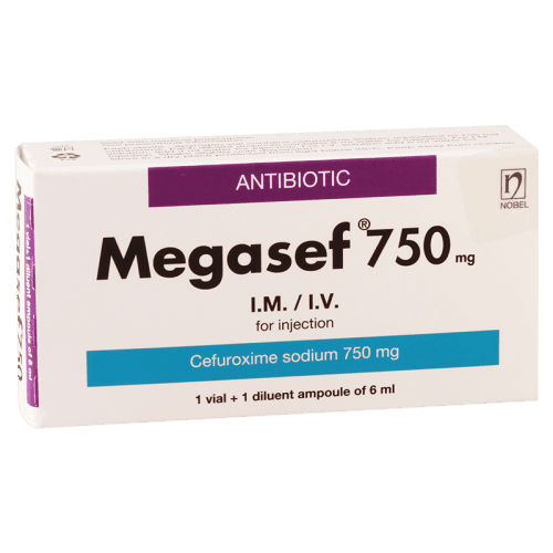 მეგასეფი ი/ვ ი/მ ფხვნილი საინექციო ხსნარის მოსამზადებლად 750მგ ფლაკონი+გამხსნელი #1