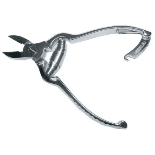 ჰუბერტი - საკვნეტელა ფრჩხილის დიდი