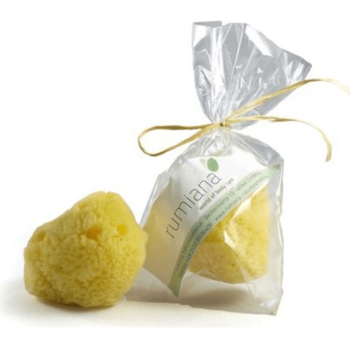 ღრუბელი ზღვის ნატურალური. პატარა