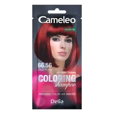 ქამელეო-შამპუნ/საღებავი 40მლ 66.56