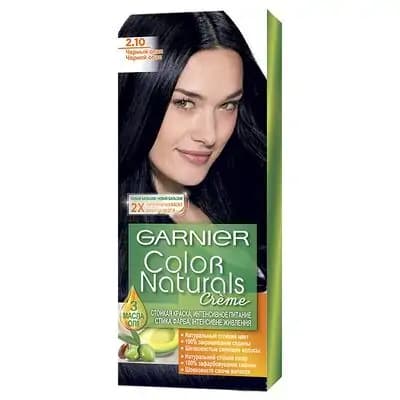 გარნიერი NATR თმის საღებავი N2.1