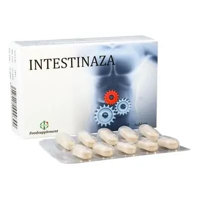 ინტესტინაზა #20ტ