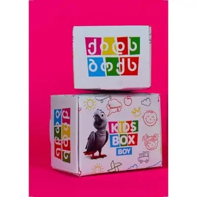 ქიდს ბოქსი-KIDSBOX ბიჭი
