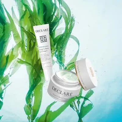 დექლარი–ნაკრები Ocean's best