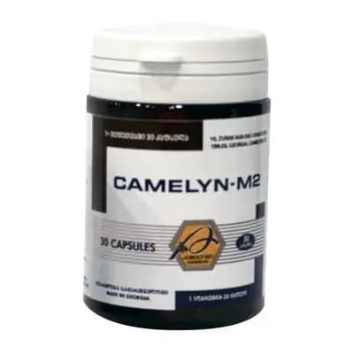 კამელინი M2 #30კაფს