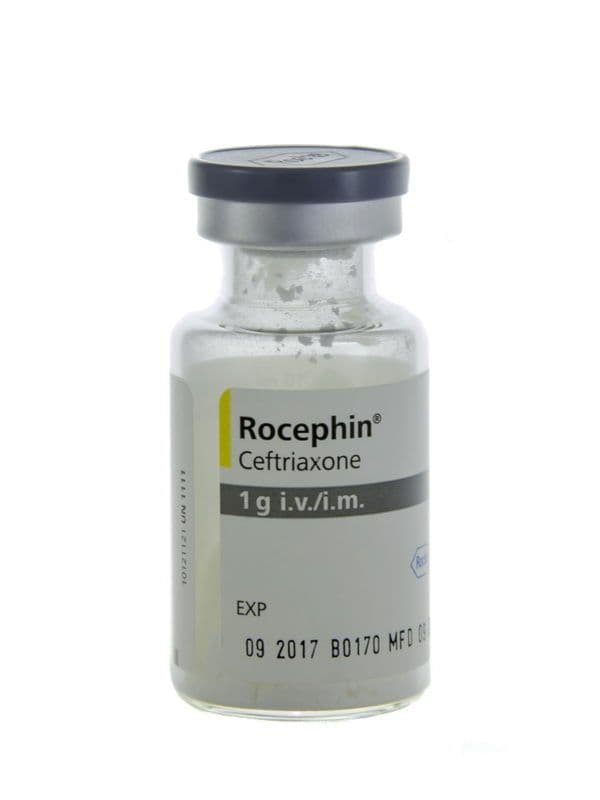 როცეფინი - Rocephin 1გრ. ფლაკონი