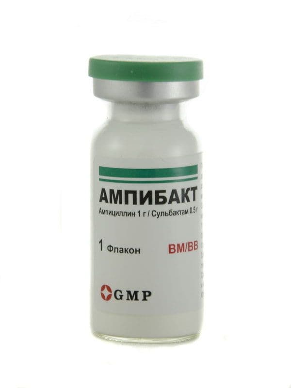 ამპიბაქტი - Ampibact 1.5გ 1 ფლაკონი