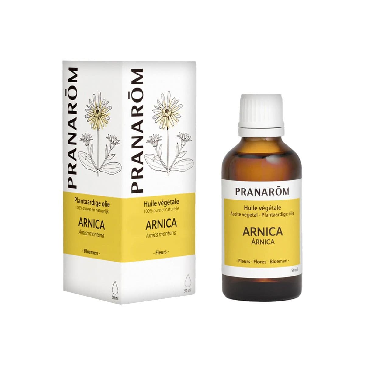 არნიკას ზეთი 50მლ პრანარომი - Pranarom