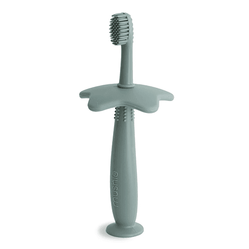 მუში - კბ/ჯაგრისი სასწავლო. მწვანე